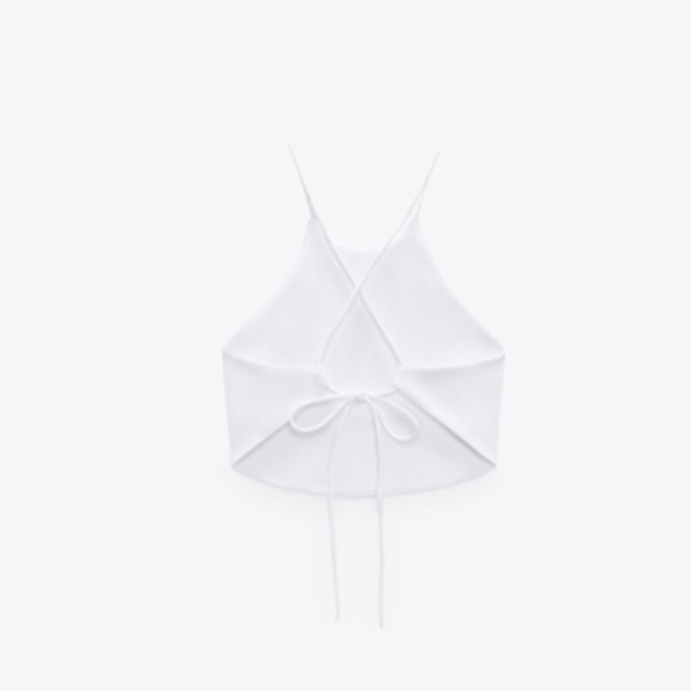 Zara- Halter neck crop top